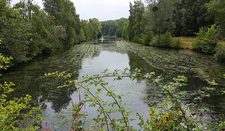 Faucardage pour étang, canaux et plan d'eau
